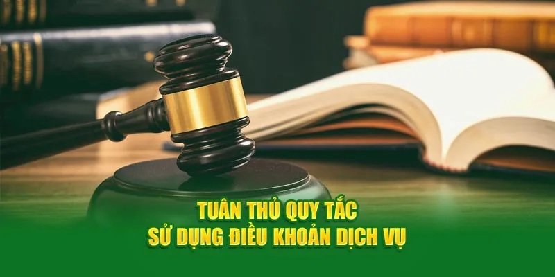 Tuân thủ quy tắc khi sử dụng điều khoản dịch vụ tại Xin88